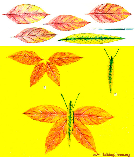 Панно из сухих листьев «Бабочка» - www.HolidaySoon.org