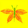 Панно из сухих листьев «Бабочка» - www.HolidaySoon.org