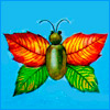 «Бабочка» из сухих листьев и желудя
