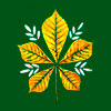      - www.HolidaySoon.org